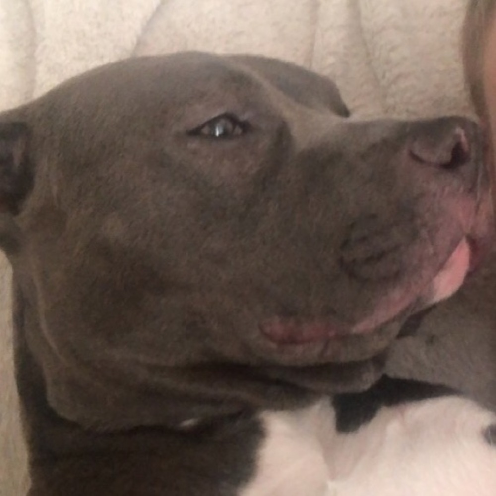 Meet your Posher, Josh